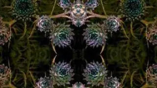 Red Kite - Aislacionismo [Drone/Ambient]
