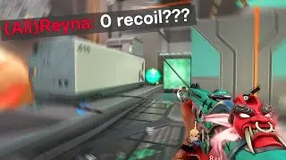 0% Recoil Vandal