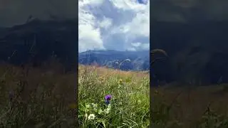 #цитаты #природа #nature #домик #motivation #умныеслова #мысли #спокойствие #саморазвитие #горы