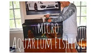 Pet Bass ATTACKS Fishing Lures!