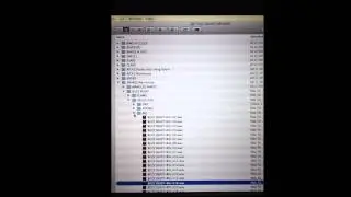 That Sound Snare Sample - Buzz Beast