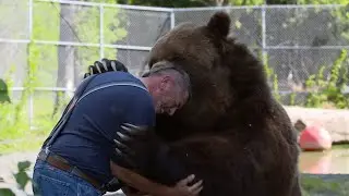 Animals Reunited With Their Owners After Years!