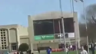 Прикол шестом в жопу