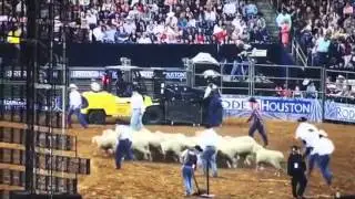 Rodeo 2014