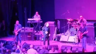Tommy James & The Shondells - Mony Mony (Live)