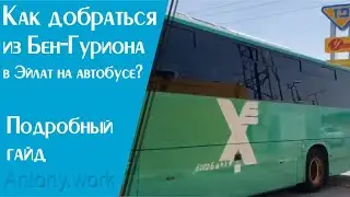 Как добраться из аэропорта Бен-Гурион в Эйлат на автобусе или самолёте: все способы