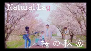 Natural Lag / 桜の秘密