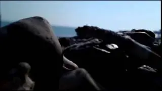 Maanam   Oprócz 1979