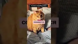 Легендарная нейросеть для создания видео станет доступна в конце 2024! 