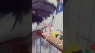 Когда мужчина не ответил на смс!