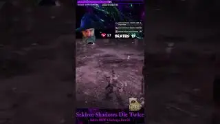 Finding Beauty in Imperfection - Sekiro Glitch Highlight