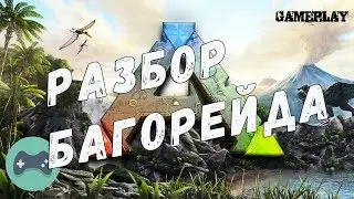 Разбор Рейда Багом