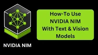 How to Use NVIDIA NIM with Text and Vision Models