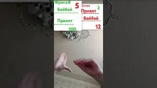 11 ноября 2024 г.