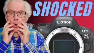 Canon EOS R6 II: Colour Madness