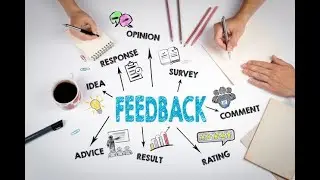 Creating a feedback culture