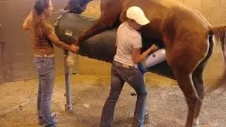 20 Strange Jobs That Pay Well