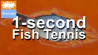 The 1-second Fish Tennis: Full match