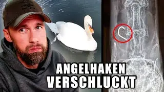 SCHWAN STIRBT DURCH ANGELHAKEN! Tiernotruf und Mission Erde retten Küken | Robert Marc Lehmann