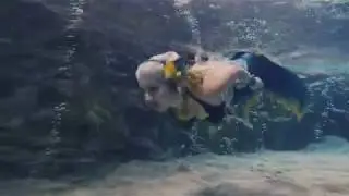 A Whole New World Underwater - Mermaid in Dive4Life, Germany