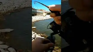 almost lost him ignore the scream 