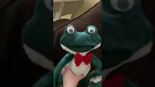 Крэйзи квак поёт (это не настоящий Крэйзи квак!)