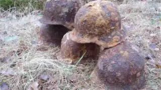 DDDs WW2 Dokumentation