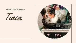 Twix
