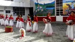 Minuete el canario 3