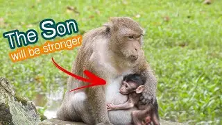 The baby will be strongest after he got the power milk 🐵❤️.