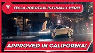 Cybertruck Disaster? Tesla Halts Deliveries Amid Quality Issues!What This Means for Tesla Investors!