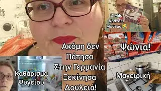#vlog#Αμέσως στη#δουλειά!#ψωνια#καθάρισα το#ψυγείο ο#milo#keeps#face!🤣#immigrants to#germany