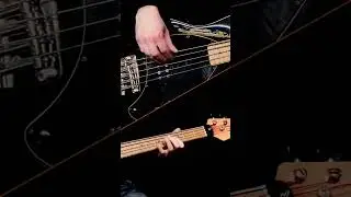 The main riff of 'I'm Losing You', as played by Toni Levin! #johnlennon #tonilevin #fingerstylebass