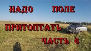 Надо поле притоптать... Часть 6.