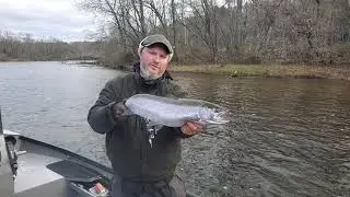 Michigan Steelhead Fishing Report - Muskegon River Steelhead Fishing Report - November 20th.