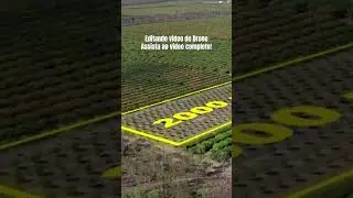 Editando vídeo de Drone #drone #turorial #adobeaftereffects