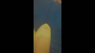 Queen Zina in high heels الملكة زينة بالكعب العالي