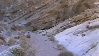 Far Up Fall Canyon, Death Valley