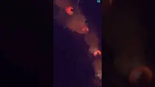 Geyser of the Deep