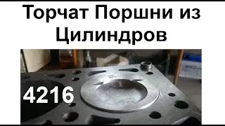 Торчат Поршни из Блока 4216 Газель Соболь