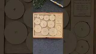 Can you solve this circle puzzle?!! #puzzle #puzzles #brainteaser #amazing