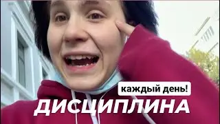 Откуда брать дисциплину на КАЖДЫЙ ДЕНЬ?