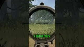 Clearing Out The Forest SQUAD