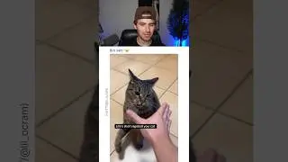 BRO'S CAT IS BROKEN.. 😭