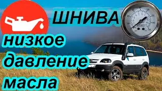 Chevrolet Niva low oil pressure
