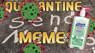 Quarantine Day 69 Funny Videos & Memes
