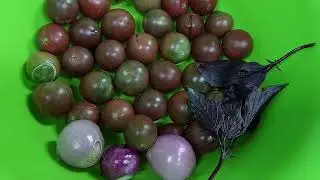Аджика и Сацебели по грузински. заказываем,не стесняемся))