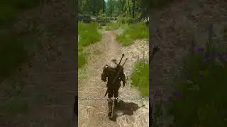 Монотонная ведьмачья жизнь... The Witcher 3: Wild Hunt | Ведьмак 3: Дикая Охота.