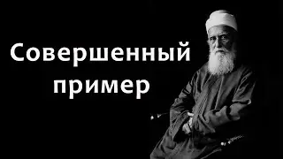 Совершенный пример