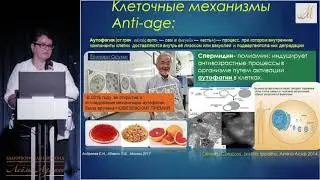 03.09.17 Лекция 
